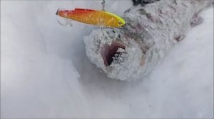 Продолжение рыбалки на Спорт-зоне. Клёвое место Лосиный остров.