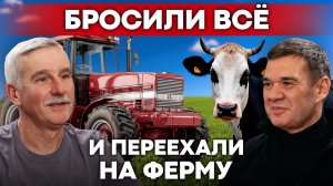Тракторист и доярка зарабатывают миллионы? Реальная история семейной фермы Герефорд