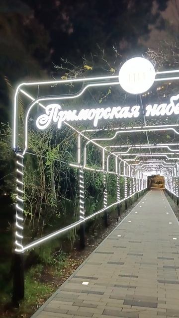 Сочи, вечер, адвокат, преподаватель английского языка и другие, прочтите описание к этому видео