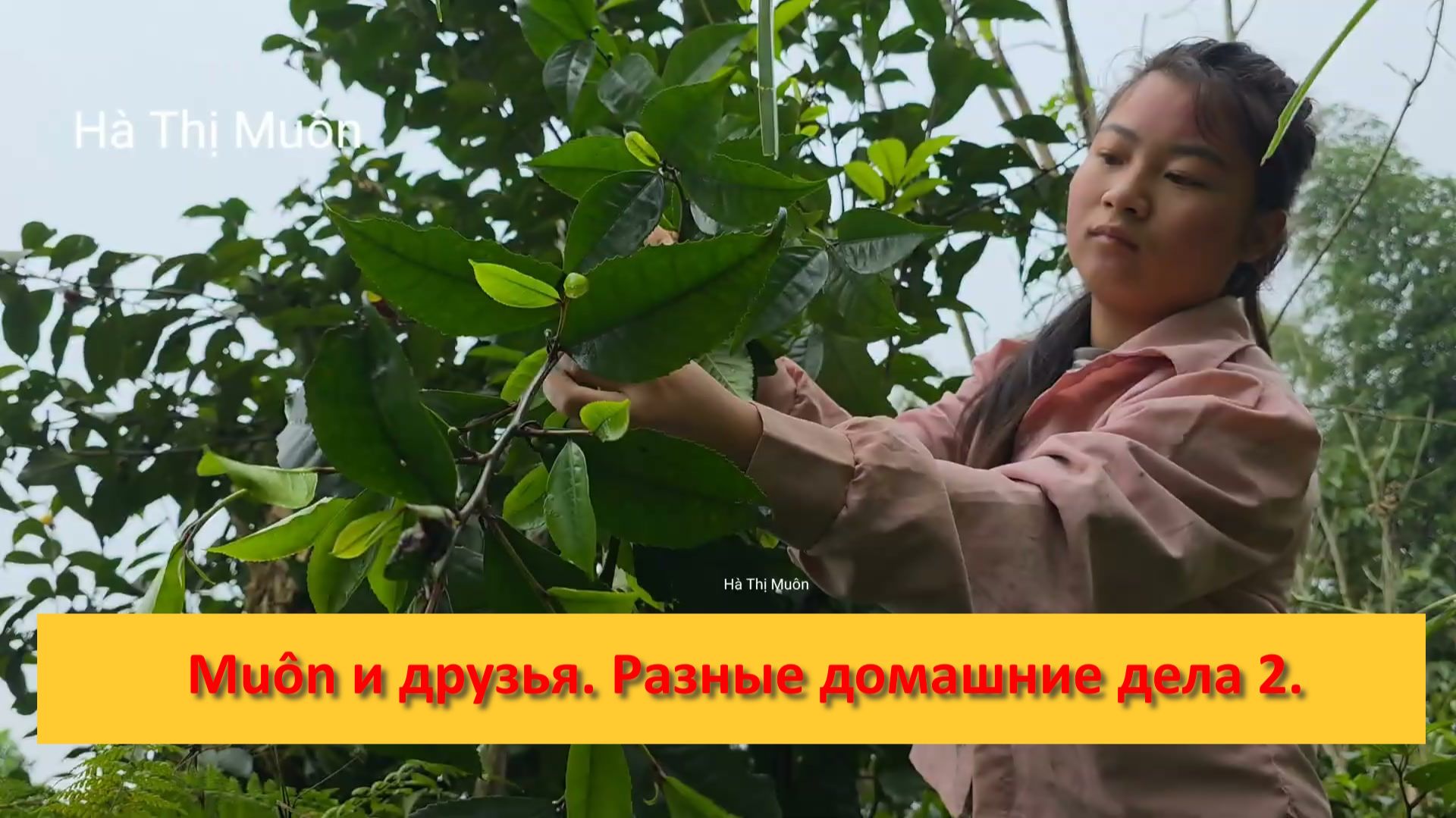 Muôn и друзья из Вьетнама. Разные домашние дела 2. смотреть онлайн