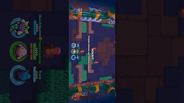 показываю свой аккаунт в бравл старс