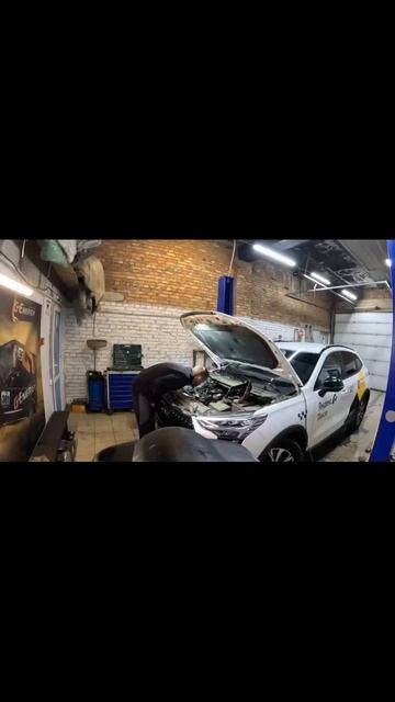 Video_11670150930251