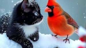 Сегодня Масленица 🥞 и Прощённое воскресенье поздравляю  ,блины испеку