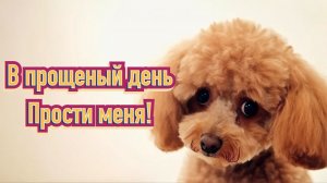 С Прощеным воскресеньем – 2026: душевные открытки и картинки. Красивое поздравление