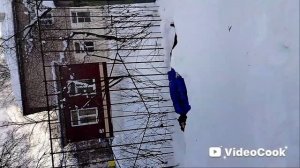 Я и кот топ проверил на прочность разные трюки на горке.