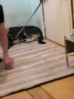 я убираюсь в комнате