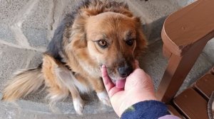 Милашка.Люся