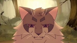 коты воители мап