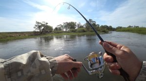 ЛОВЛЯ ГОЛАВЛЯ И ЖЕРЕХА НА СПИННИНГ