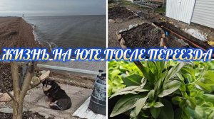 КОПАЕМ ВОДОПРОВОД К НОВОМУ ДОМУ, ПОУБИРАЛАСЬ НА УЛИЦЕ,ПЕРЕЦ ВЗОШЁЛ, ЕЩЁ ЧЕРЕНКИ СНЯЛА,