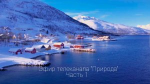 Эфир телеканала "Природа"