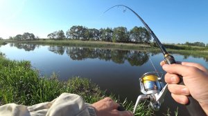 СУМАСШЕДШИЙ КЛЕВ СИЛЬНЫХ РЫБ