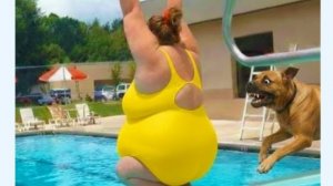 ТОП Самых Смешных и Прикольных Видео