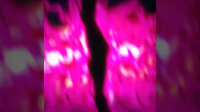 Эдит Приговорённый быть героем: Тюремные записи девяти тысяч четвёртого штрафного отряда героев смотреть онлайн