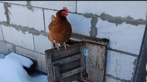 С Масленицей 🥞 🥞 🥞