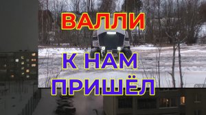 Ураган Валли и к нам Пришел