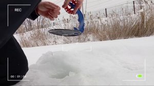 Февраль: ветер, снег и зубастая ЩУКА