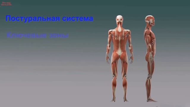 Атлант - первый шейный позвонок смотреть онлайн