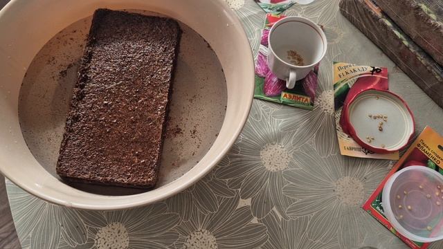 ПРОШУ ПРОЩЕНИЯ...СЕЮ РАССАДУ смотреть онлайн