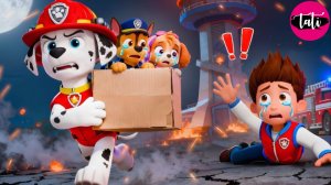 Щенячий патруль и Маршалл. Залипательное видео. Мультфильм для детей и малышей. Анимация 281