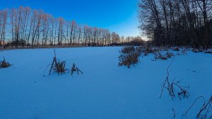 С наступлением Великого поста! Навстречу Весне и Воскресению!