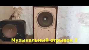 Тест динамика 3ГД5 VEF