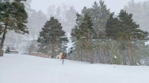 2026.02.21 Конохово-Егорий-Кольцо №35 13 км