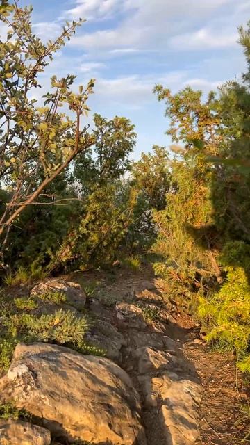 тени уже длинные смотреть онлайн