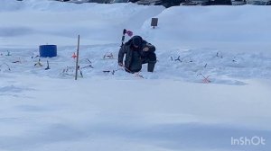 Ловим запуск форели