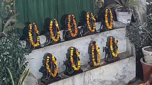 Онлайн Церемония YagyaLive