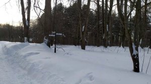 Третий выходной!!! Гуляю в парке!