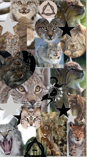 всем снова привет!