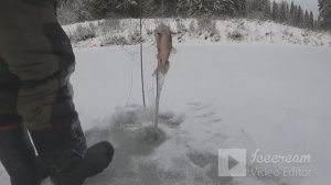 зимняя рыбалка на КОСЫНКИ 2026