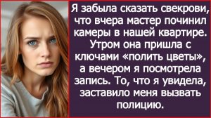 Я забыла сказать свекрови, что вчера мастер починил камеры в нашей квартире. | ИСТОРИИ ИЗ ЖИЗНИ