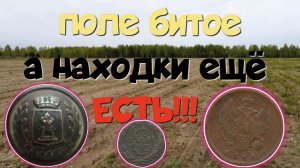 ПОЛЕ БИТОЕ, А НАХОДКИ ЕЩЁ ЕСТЬ. ПОИСК СТАРИНЫ С ЭКВИНОКС 800.