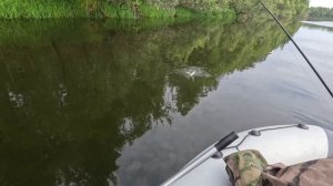 🔺️🎣ЕЩЕ🎣🔺️fishing#туризм#природа#ловля#рыбалка#щука#ловлящуки#ночевка#Чулым#река#спиннинг