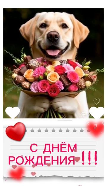 Поздравление с днём рождения