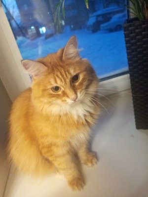 как мы проводим ночёвки 😝🤟