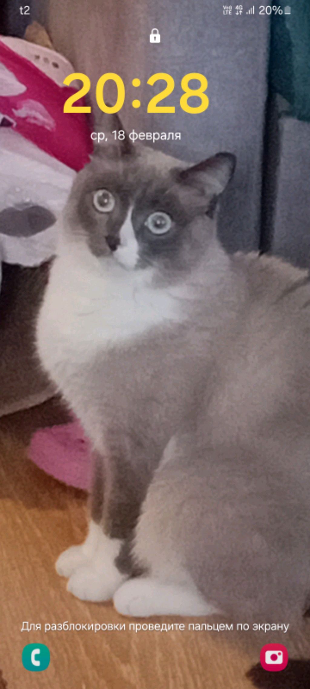 отбор песен