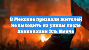 В Мексике призвали жителей не выходить на улицы после ликвидации Эль Менчо
