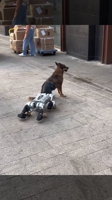 Пугало электронное🦮🐕🐶😀😃😄🕵️ смотреть онлайн