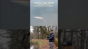 Jackall Mag Squad 115 #jackall  #fishing #рыбалка