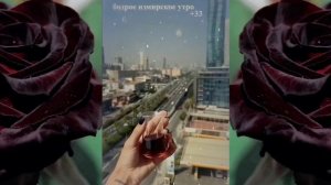 = МОТОМАСЛЕНИЦА =