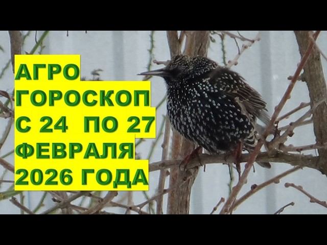 Коридор Затмений - Ретроградный Меркурий! Почему в Это Время Нельзя Жениться?! смотреть онлайн