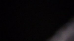 Любимая моя