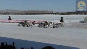 Сибирская Масленица Бега 1 2026.mp4