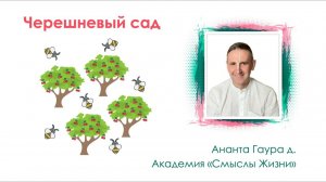 Академия «Смыслы жизни» Е.М. Ананта Гаура прабху