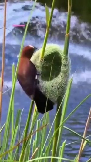 Шьём, вяжем, делаем макраме