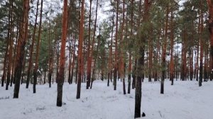 Ошибки в сфере личных финансов