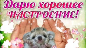 Пять вечерних анекдотов для хорошего сна. Не забывайте подписаться.